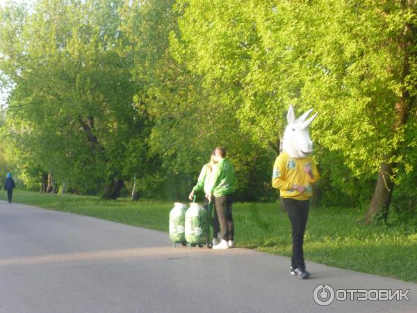 Газированный напиток Sprite фото