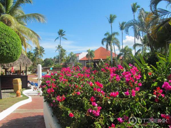 Отель Occidental Grand Punta Cana 4 отзыв