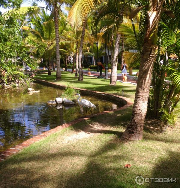 Отель Occidental Grand Punta Cana 4 отзыв