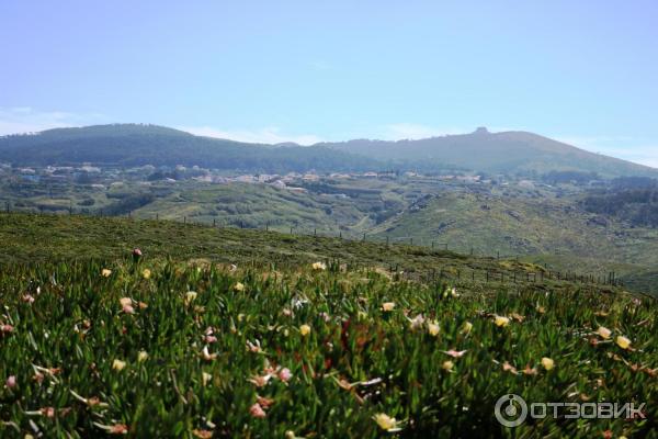 Экскурсия на Мыс Рока Португалия отзыв фото