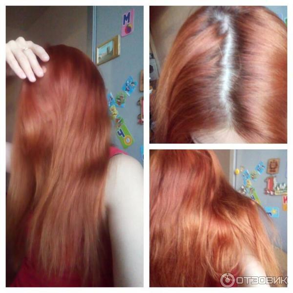 Крем-краска для волос GARNIER Color Naturals, тон 6.41 …