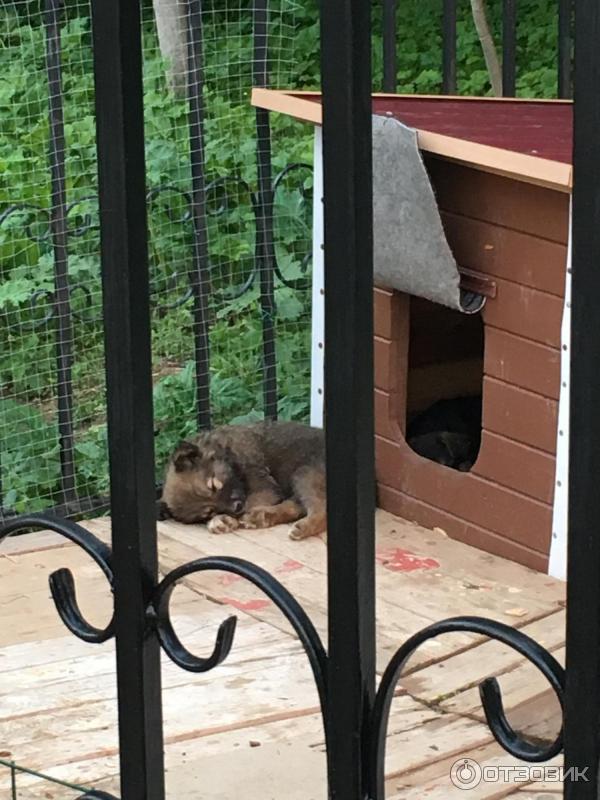 Спортивный парк в с. Красная Пахра (Россия, Московская область) фото