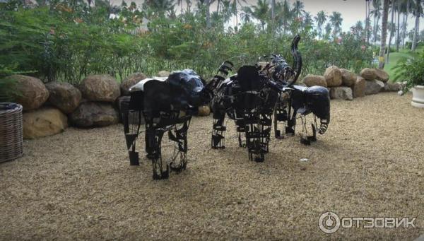 Отель Shangri La Hambantota Resort & Spa (Шри-Ланка) фото