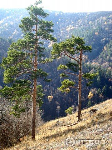 Гора Стрельная (Россия, Самарская область) фото