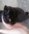 LEnnaa