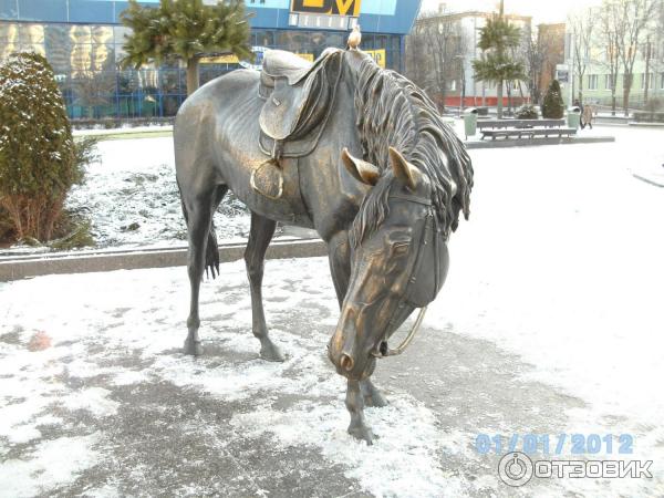 Лошадь на комаровке