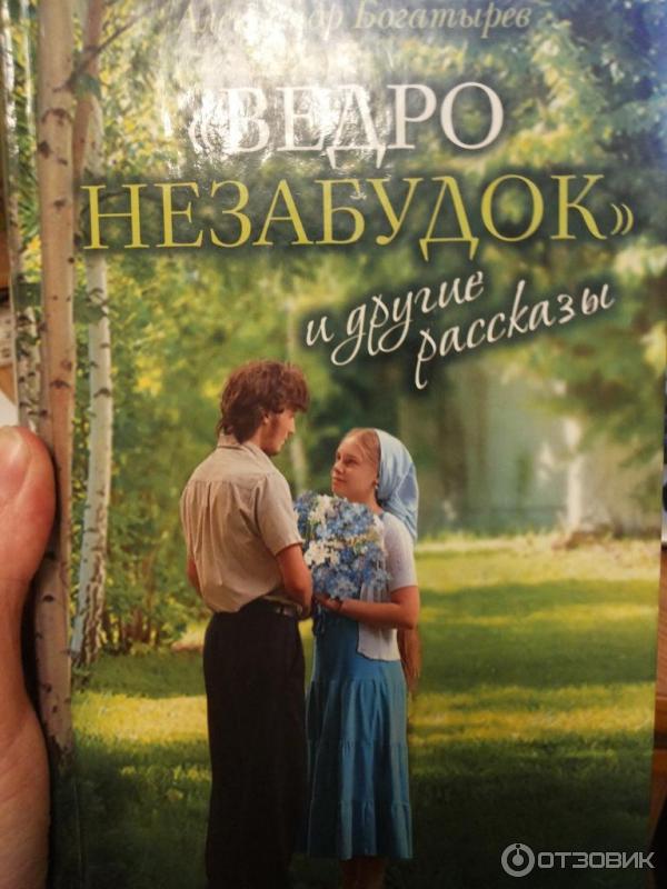 Книга Ведро незабудок - Александр Богатырев фото