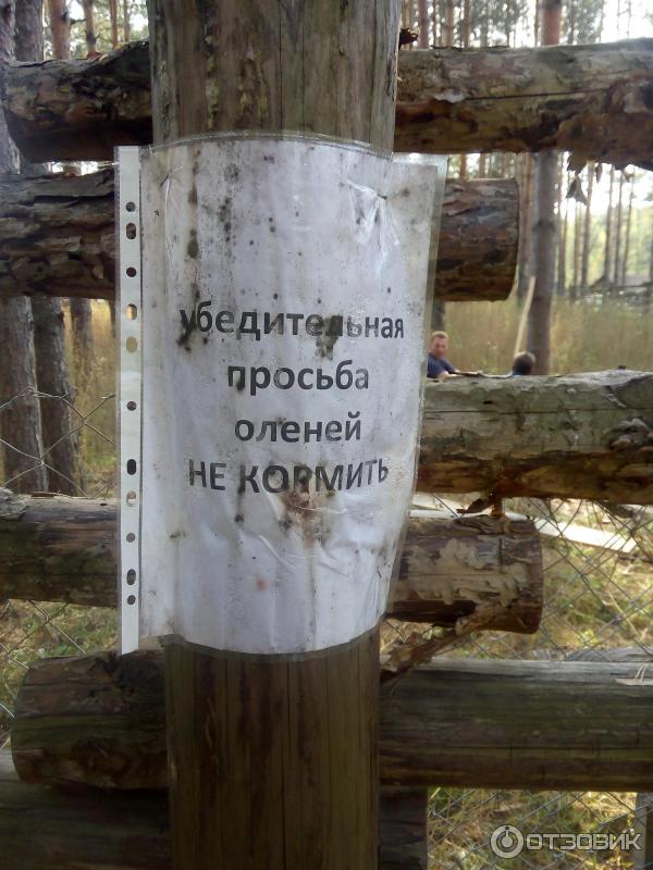 Развлекательный комплекс В некотором царстве (Россия, Рязань) фото