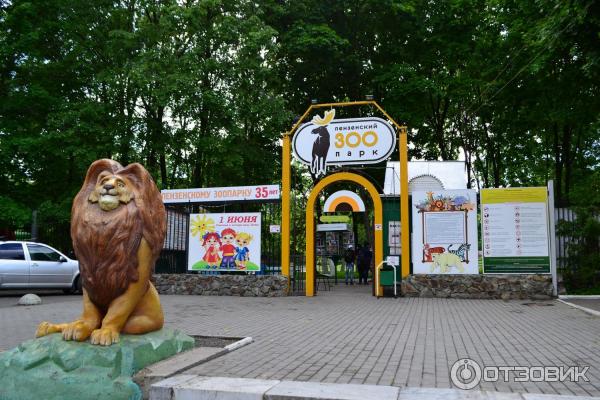 В Пензенском зоопарке альпаки, пони и бизоны стали родителями. АиФ Пенза