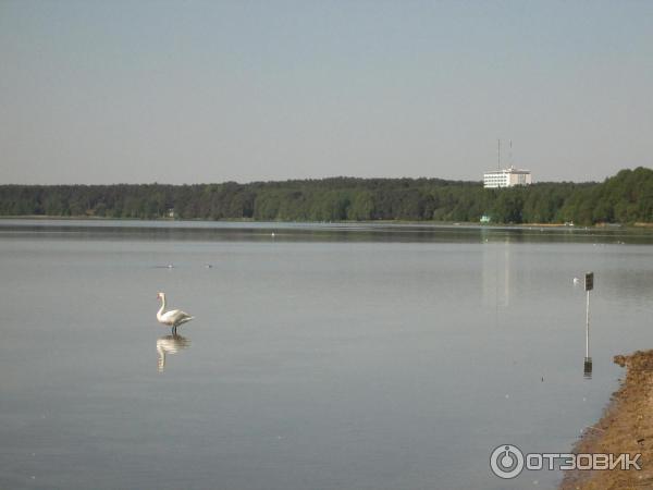 Туристический комплекс Нарочь (Беларусь, Минская область) фото