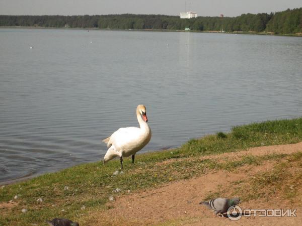 Туристический комплекс Нарочь (Беларусь, Минская область) фото