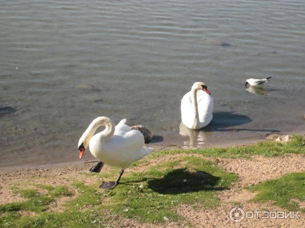 Туристический комплекс Нарочь (Беларусь, Минская область) фото