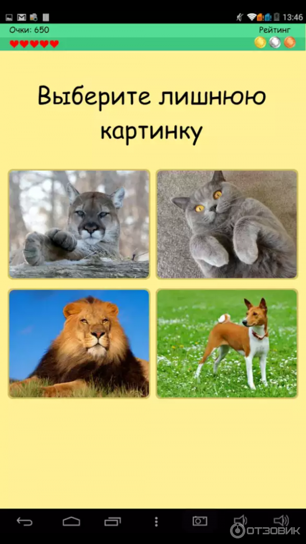 4 Картинки 1 Лишняя