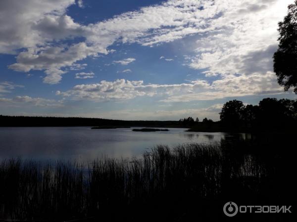 Экскурсия в замок Радомысль (Украина, Житомирская область) фото