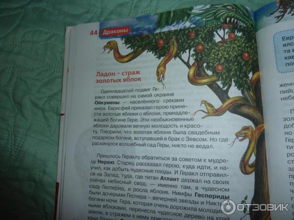 Книга Детская энциклопедия. Драконы - издательство Росмэн фото