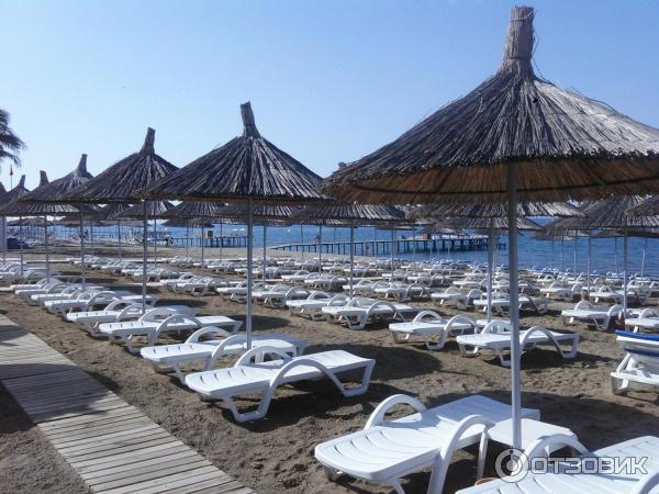 Отель Quattro Beach