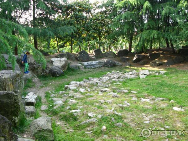 Парк у морского порта (Россия, Сочи) фото