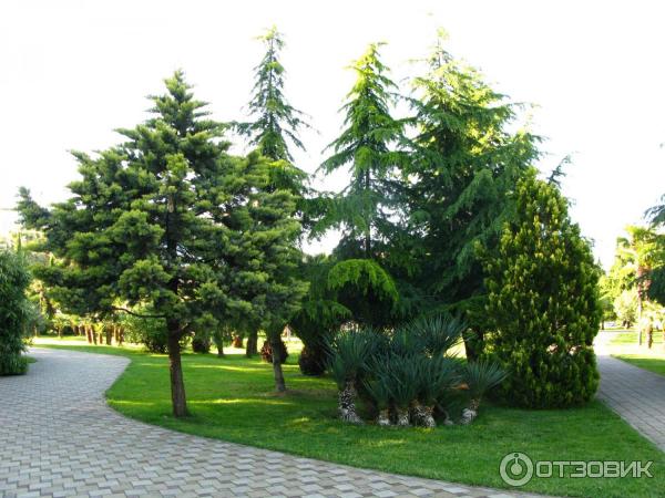 Парк у морского порта (Россия, Сочи) фото