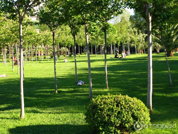 Парк у морского порта (Россия, Сочи) фото