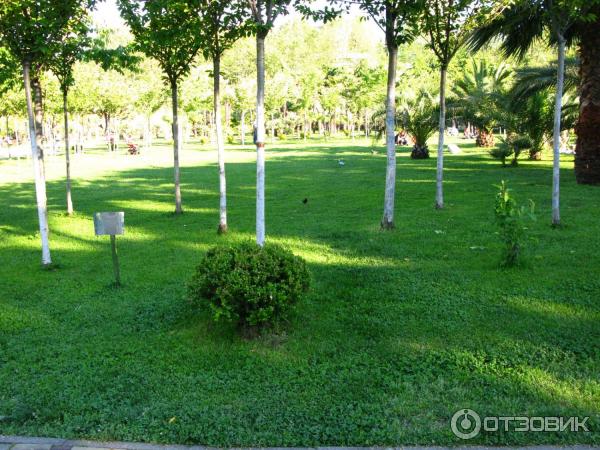 Парк у морского порта (Россия, Сочи) фото