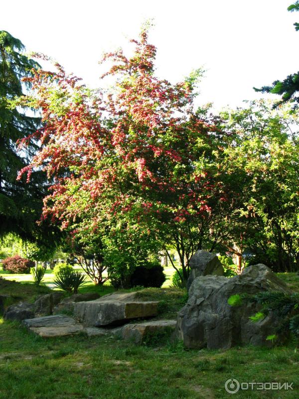 Парк у морского порта (Россия, Сочи) фото