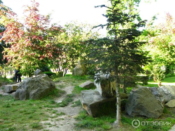 Парк у морского порта (Россия, Сочи) фото