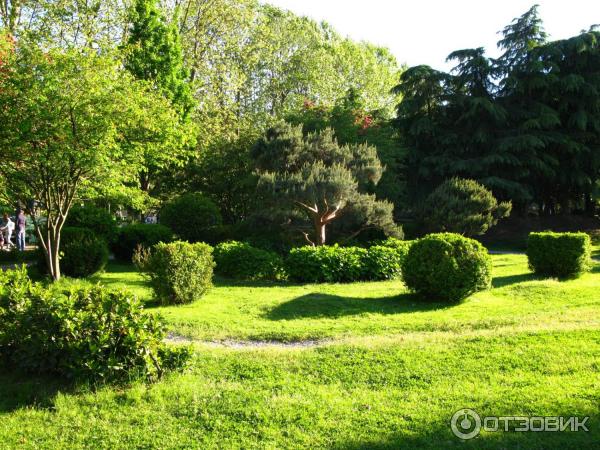 Парк у морского порта (Россия, Сочи) фото