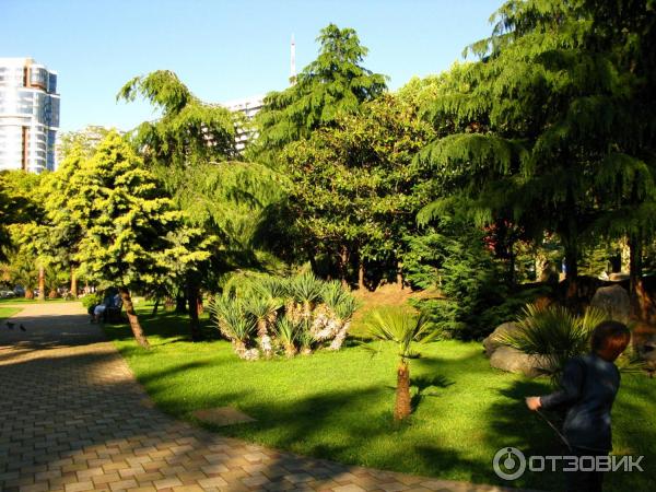 Парк у морского порта (Россия, Сочи) фото
