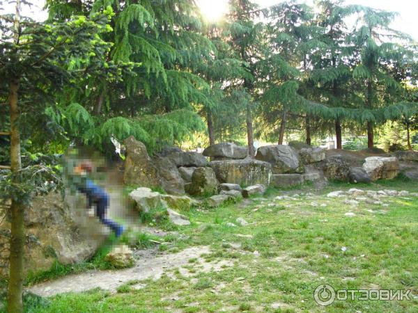 Парк у морского порта (Россия, Сочи) фото