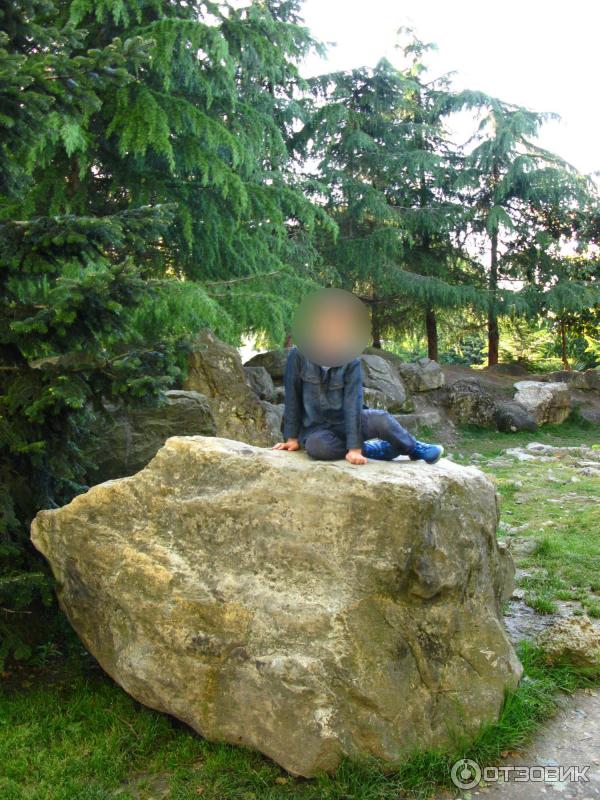 Парк у морского порта (Россия, Сочи) фото