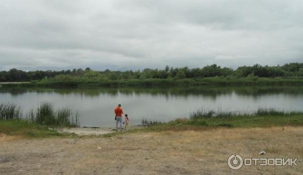 Отдых на реке Дон (Россия, Ростовская область) фото