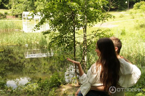 Дуб Богдана Хмельницкого в пос. Дубовое (Россия, Белгород) фото