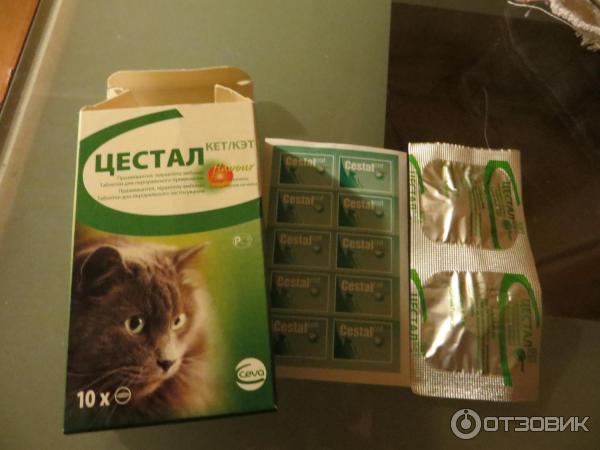 Цестал для кошек