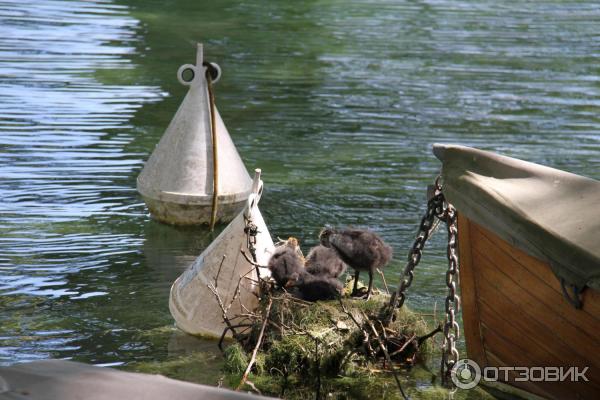 Город Анси (Франция) фото