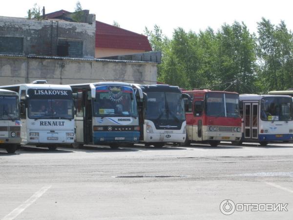 Расписание автобусов Исетское - Курган