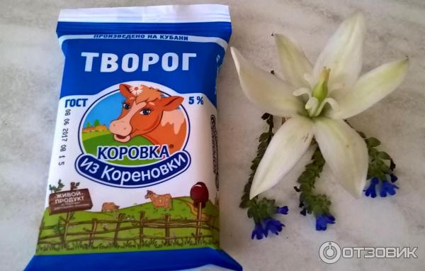 Творог Коровка из Кореновки фото