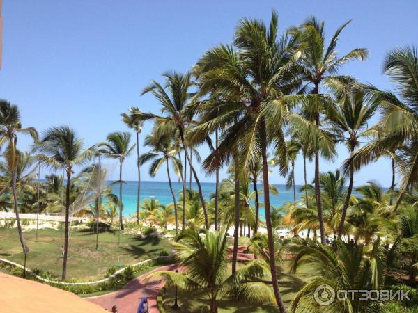 Отель Barcelo Punta Cana 4* (Доминикана, Пунта-Кана) фото