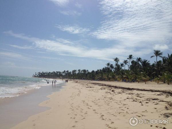 Отель Barcelo Punta Cana 4* (Доминикана, Пунта-Кана) фото