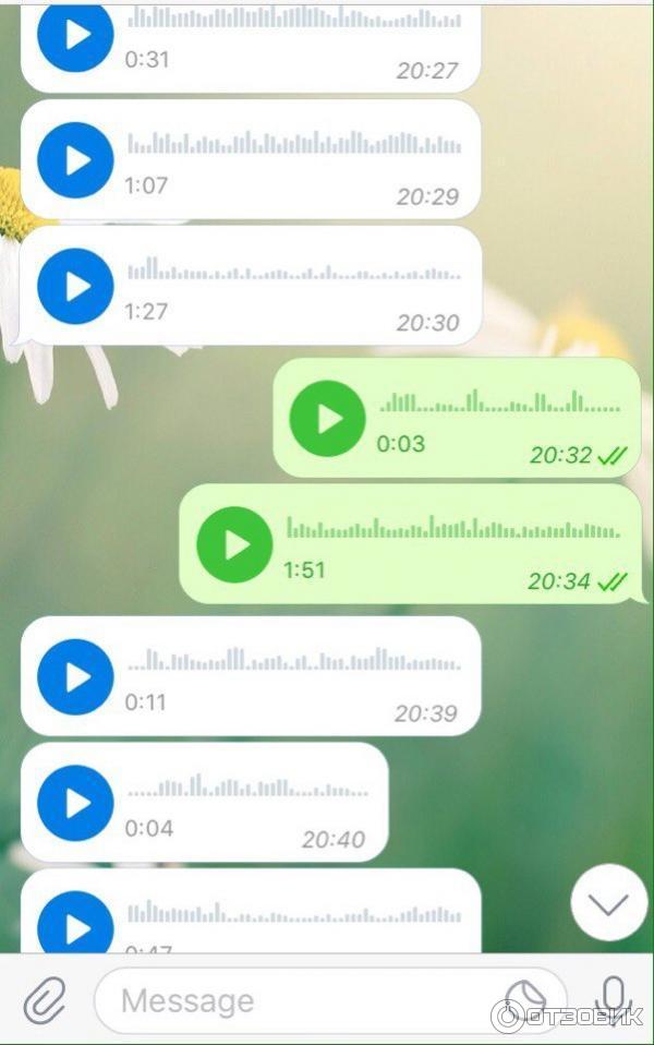 Telegram - приложение для iOS фото