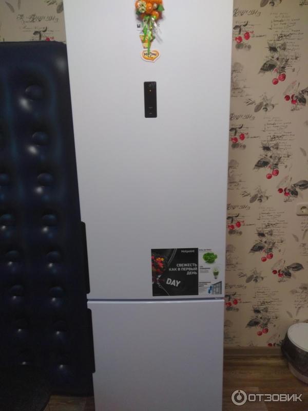 Холодильник Hotpoint Ariston Hts 5200 W Фото