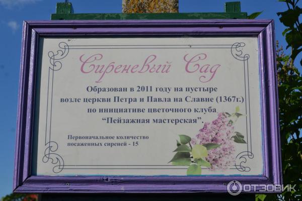 Сиреневый сад великий новгород фото
