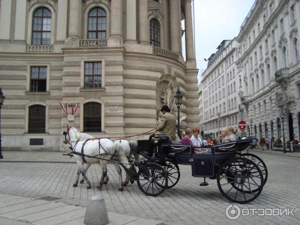 Экскурсия по Рингу (Австрия, Вена) фото