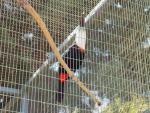 Зоопарк Bird and Animal Park (Кипр, Пафос) фото