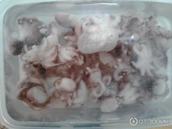 Как варить осьминогов замороженных маленьких. Хранение морепродуктов в морозилке вареный осьминог. осьминог вареномороженый капюшон. маленькие осьминоги сколько варить. маленькие осьминоги как готовить.