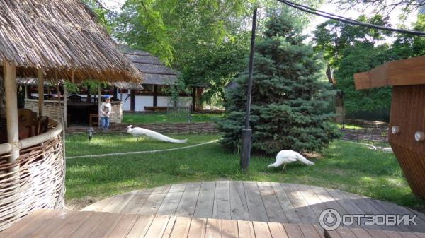 Yura's tip at Клевое Место