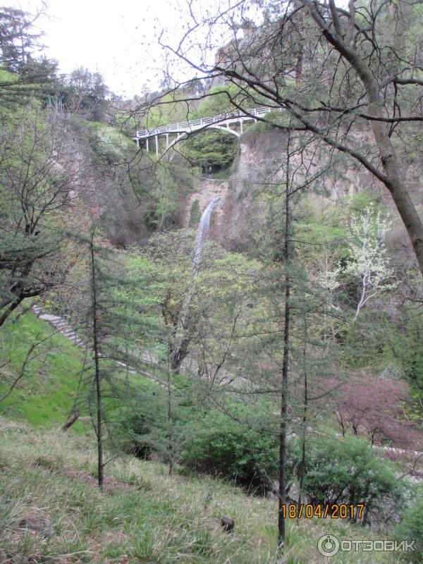 Ботанический сад (Грузия, Тбилиси) фото