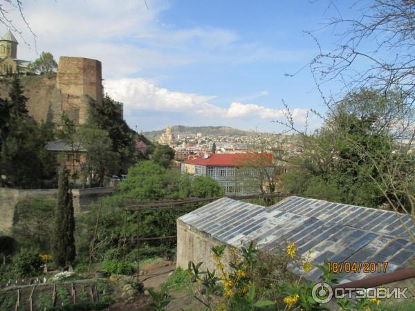 Ботанический сад (Грузия, Тбилиси) фото