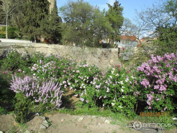 Ботанический сад (Грузия, Тбилиси) фото