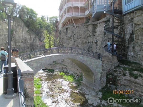 Ботанический сад (Грузия, Тбилиси) фото