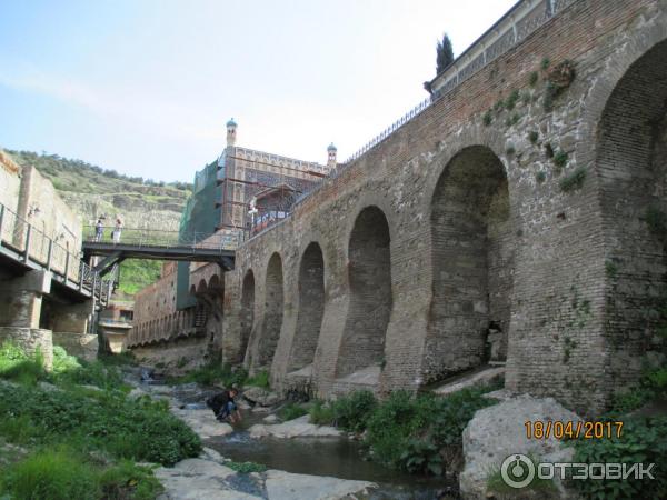 Ботанический сад (Грузия, Тбилиси) фото